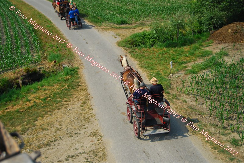 DSC_5004.JPG